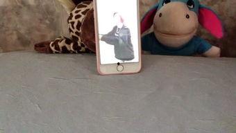 娱吃瓜小熊,揭秘娱乐圈那些不为人知的幕后故事