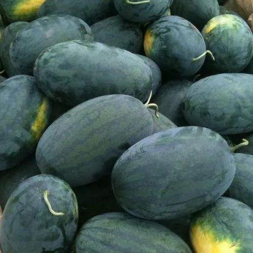 青海看瓜怎么吃,解锁夏日消暑新姿势