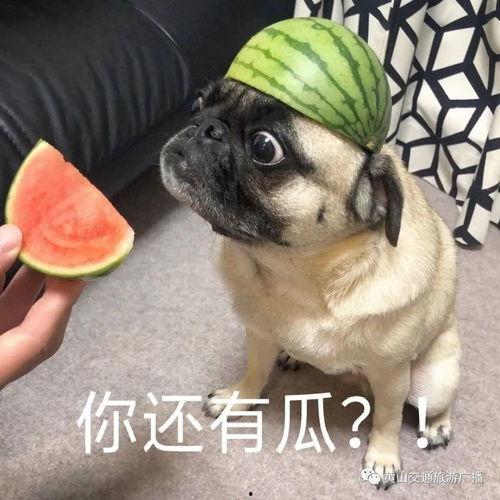 吃瓜小锤,揭秘娱乐圈那些不为人知的幕后故事