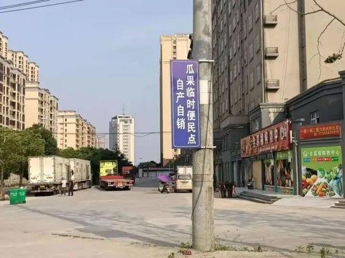 阜南吃瓜比赛,吃瓜比赛欢乐多,瓜王争霸谁主沉浮