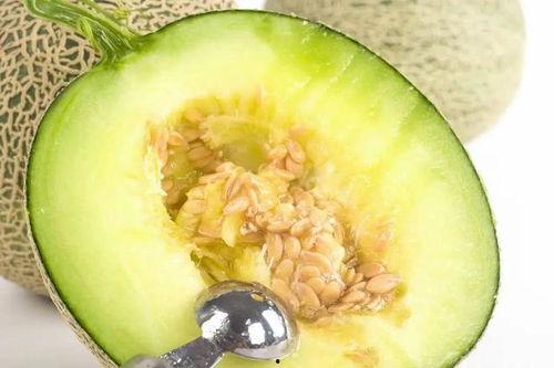 男的吃蜜瓜,男性美食探索之旅