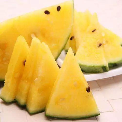 20后吃瓜图,揭秘网络时代的“瓜田”盛景