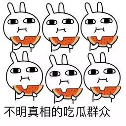 吃瓜圈头像,揭秘吃瓜圈头像背后的故事