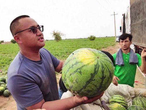 乌鲁木齐方舱 吃瓜,吃瓜群众视角下的抗疫生活剪影