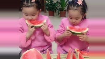双胞胎 吃瓜,揭秘双胞胎世界的甜蜜与趣味
