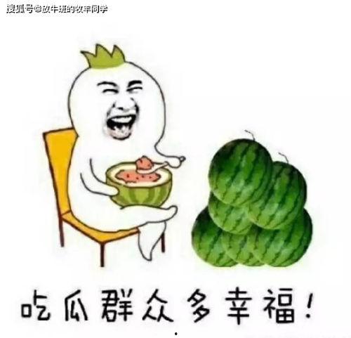 俗话说吃瓜,揭秘“吃瓜群众”背后的社会现象