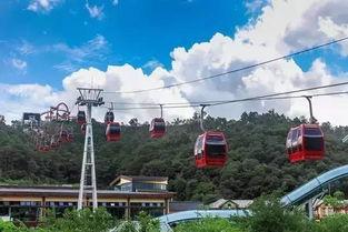 单县新街吃瓜,夏日炎炎,吃瓜群众欢乐多