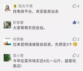 昆明吃瓜公众号