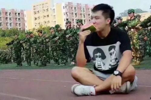 内线吃瓜群众,揭秘吃瓜群众的幕后故事