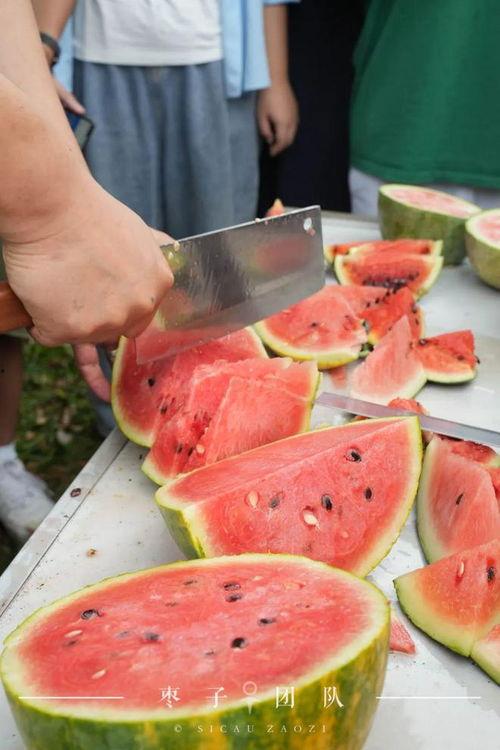 吃瓜的自己 霍州